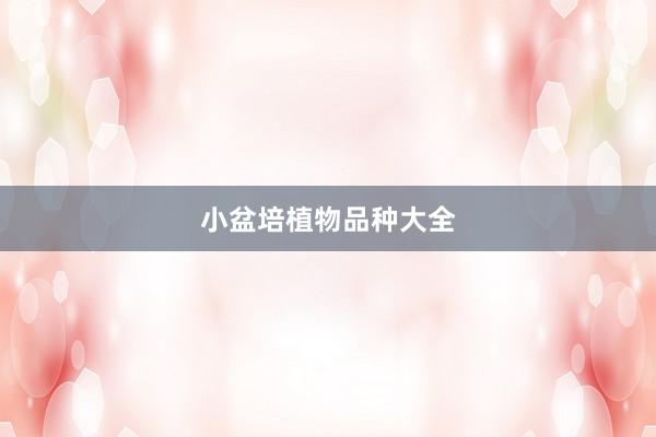 小盆培植物品种大全