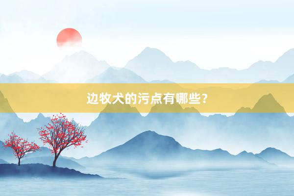 边牧犬的污点有哪些？
