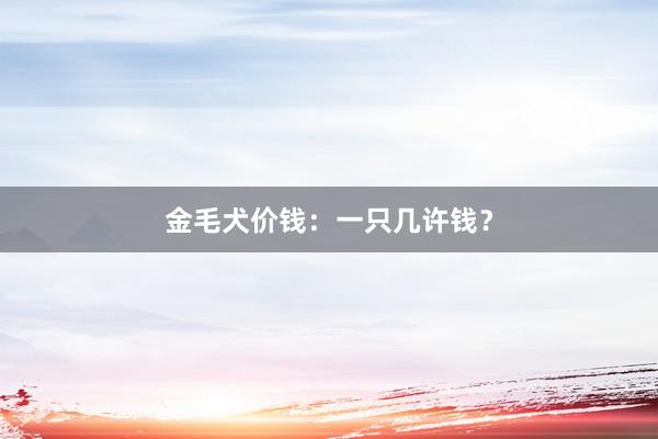 金毛犬价钱:一只几许钱?