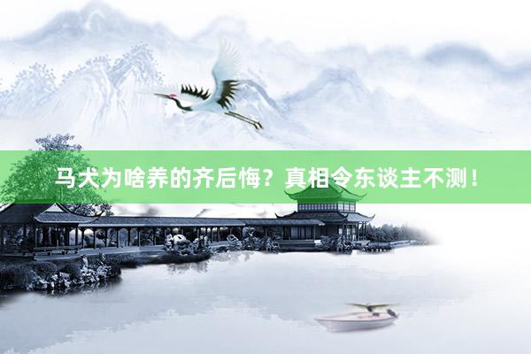 马犬为啥养的齐后悔？真相令东谈主不测！