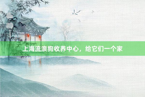 上海流浪狗收养中心，给它们一个家