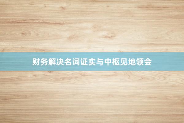 财务解决名词证实与中枢见地领会